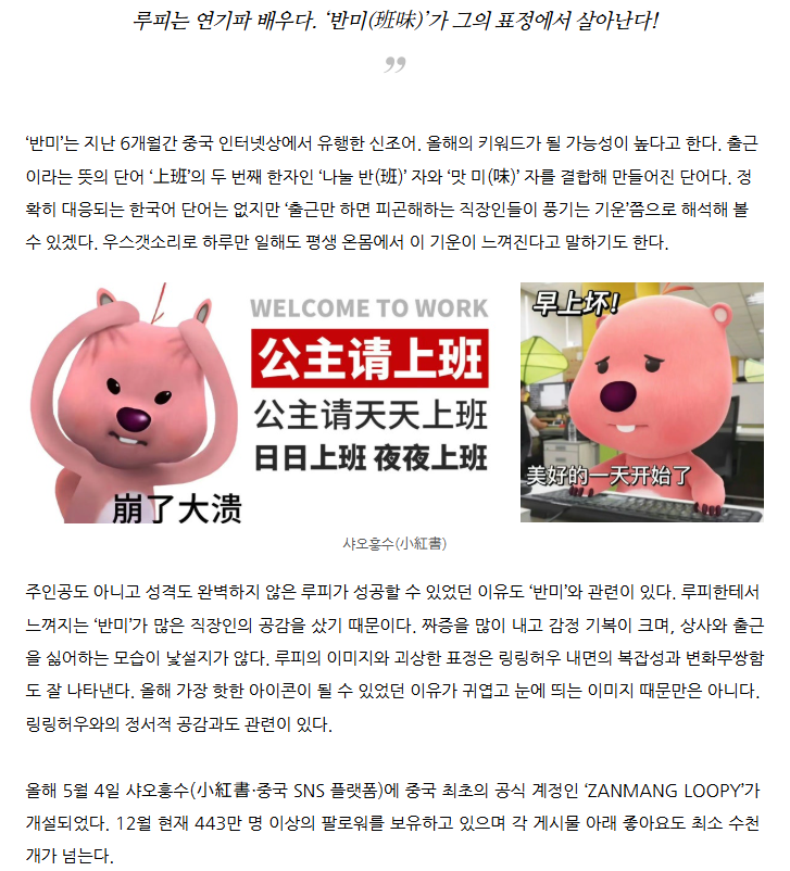 🌸김루피🌸 tweet media