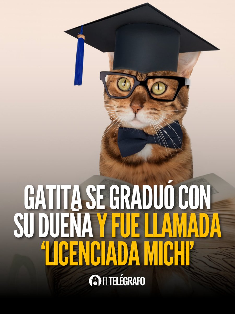 el_telegrafo's tweet image. #VIDEO | Nadie esperaba esto: una gatita recibe reconocimiento en plena graduación. #LéaloEnET: is.gd/yggdsW