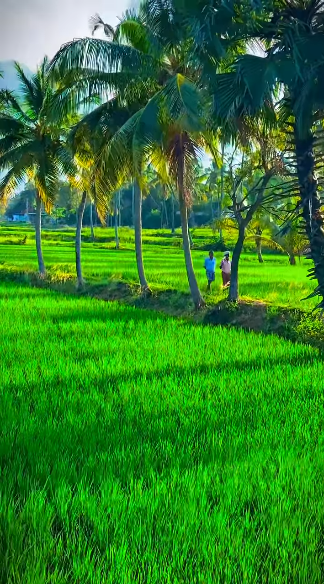 Good morning wishes to all 🥰