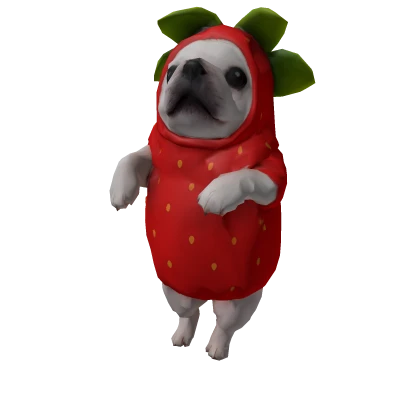 Inmortalhuman's tweet photo. Mi Tercer UGC ¿Que tal?
Pibble De Fresa🍓
UGC:https://t.co/WFQqtxAO8q #roblox #robloxoutfits #robloxnews https://t.co/xUGhOJy2xP