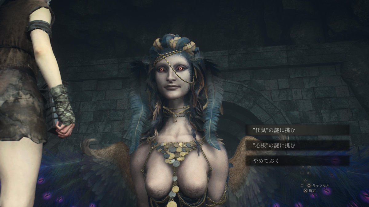 HatomuniPower's tweet image. dlcに向けて、この2つの謎は残しておこうと思う。

#DD2