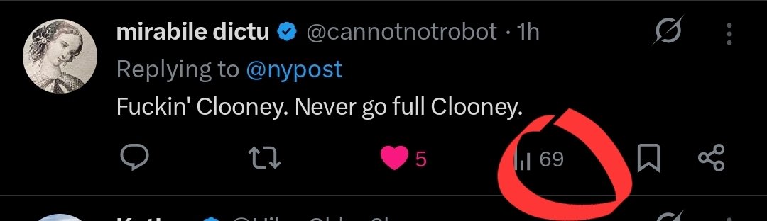 Classy Bear tweet media