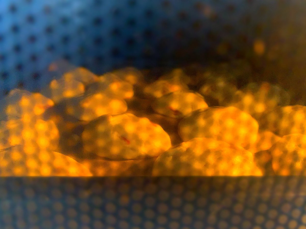 TANTA246 tweet media