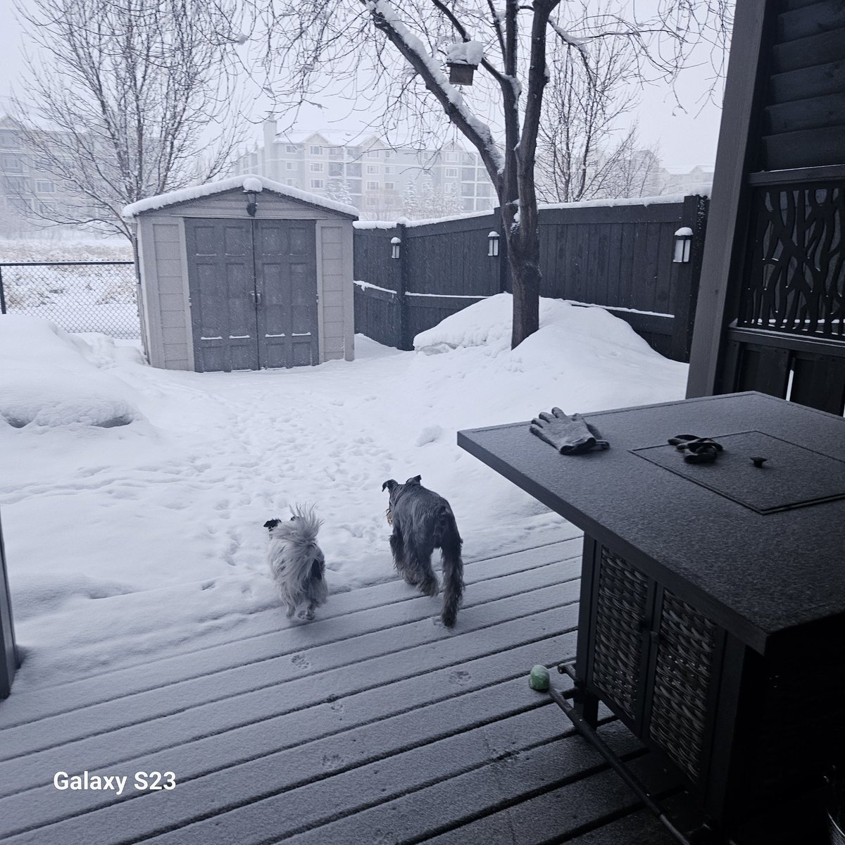 We're having 3rd winter. I'm not sure spring is ever going ro come 😫