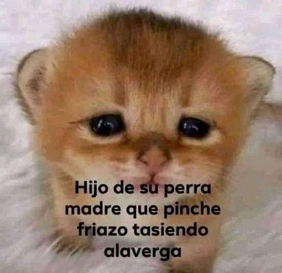 rip (NSFW) tweet media