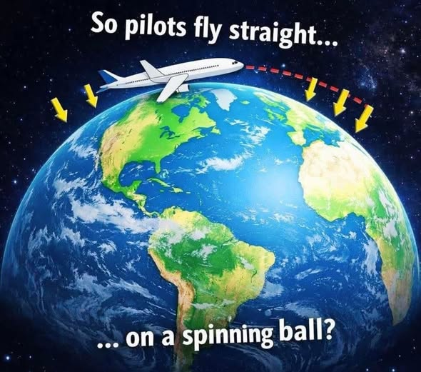 Randy912 tweet media