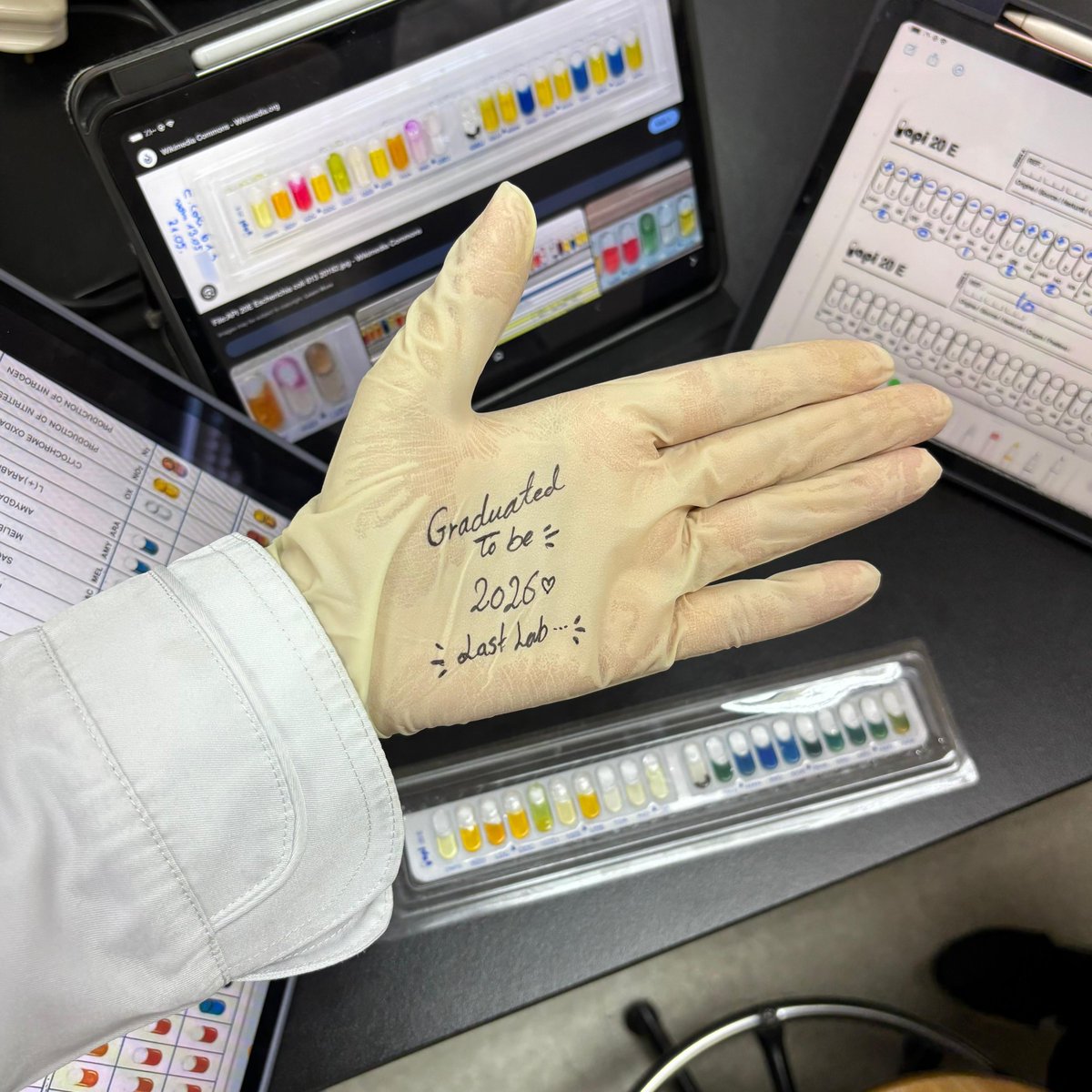 ميـم🔬🧬 tweet media