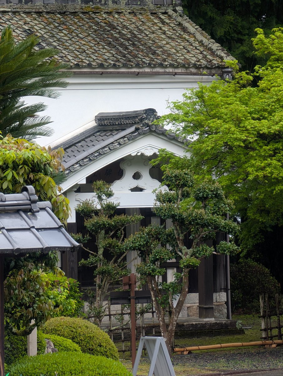 パンダライター 二木繁美｜『水曜日のお嬢様』発売中 tweet media