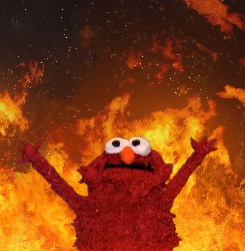 tyler zuber's adopted duckling (@metsdith) on Twitter photo 