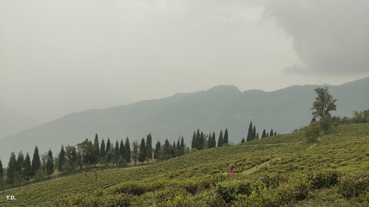 Iamrajasi's tweet image. My country 😘🩷 #Pelling #sikkim