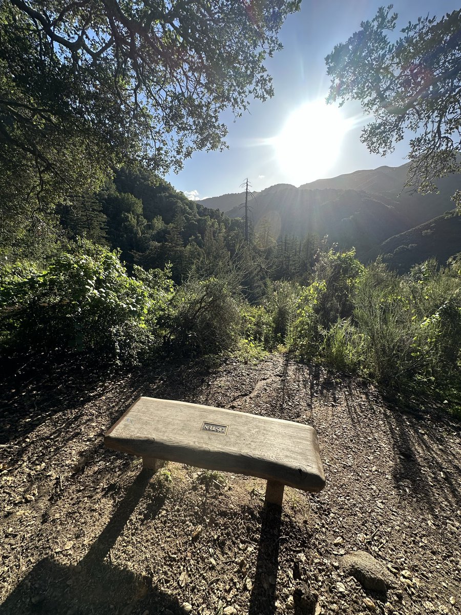 McDermedFox9's tweet image. Came across this bench during our Earth day hike #listen #earth #optoutside