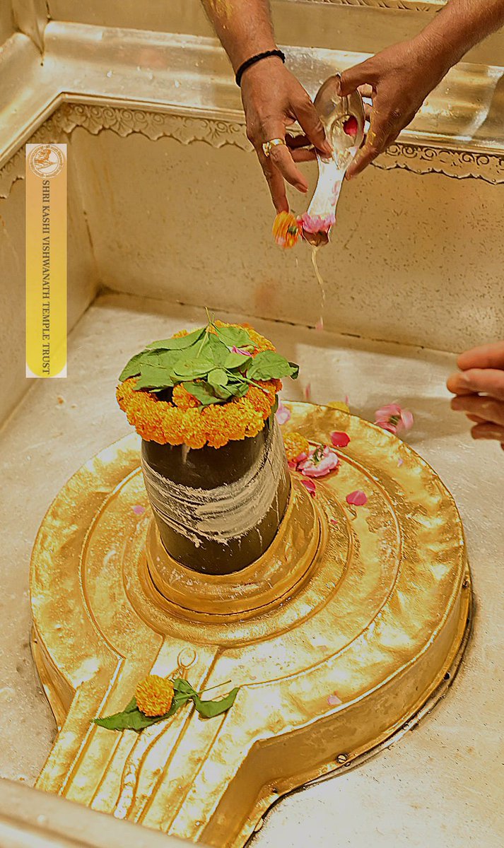 श्री काशी विश्वनाथ जी की मंगला आरती I
#kashivishwanath #kashi #sanatandharma #banaras