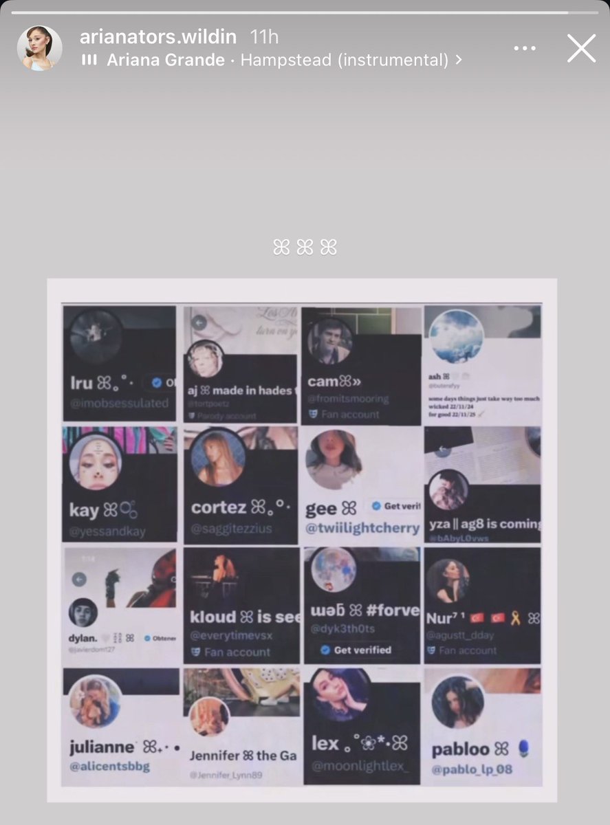 cortez ꕤ｡°⋆ tweet media