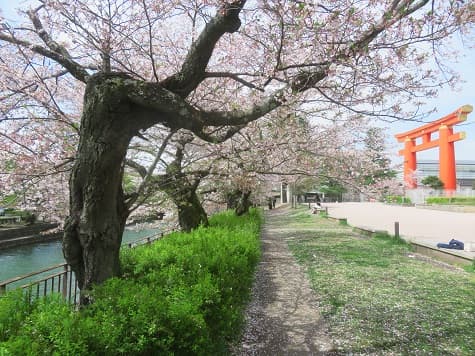 Kyoto no T tweet media