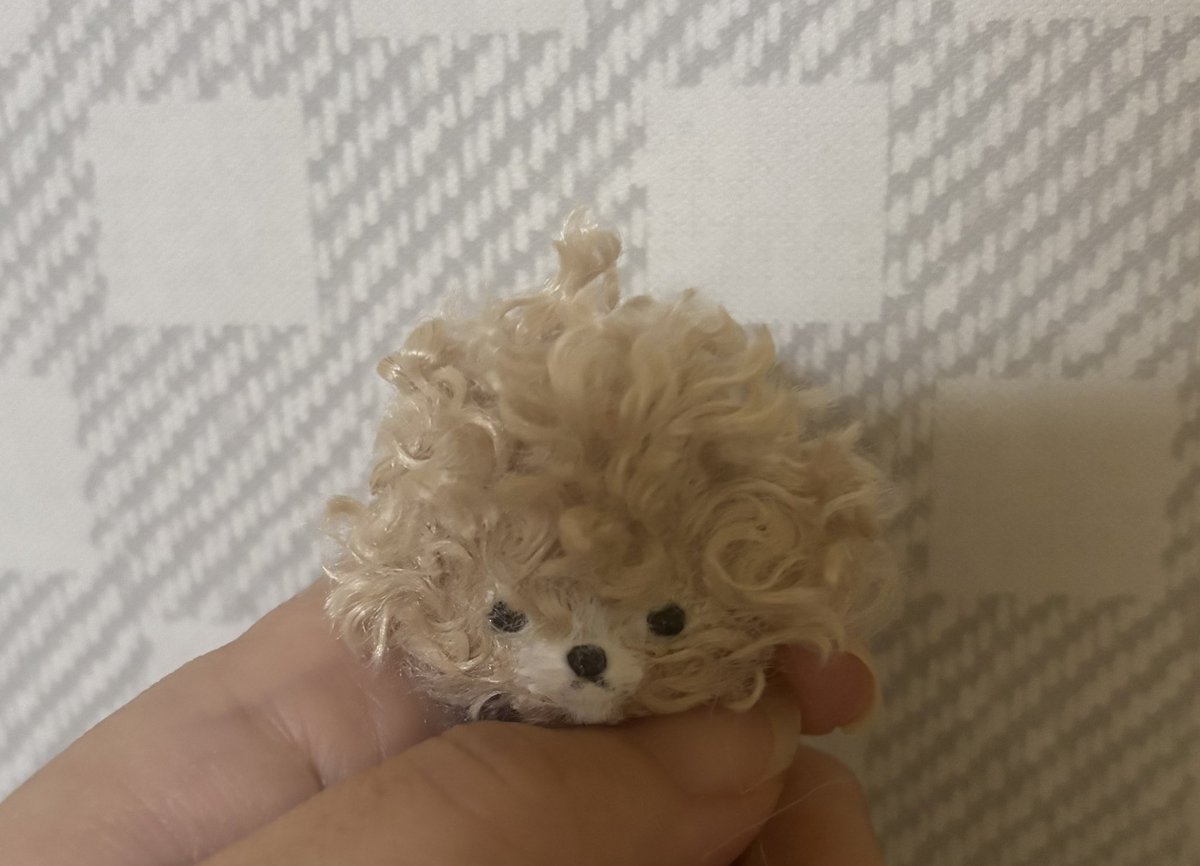 Minou（ミヌー） tweet media