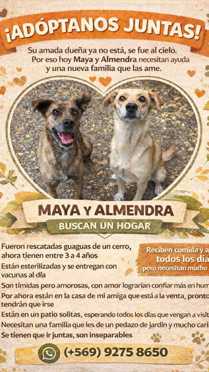 Patricia tweet media