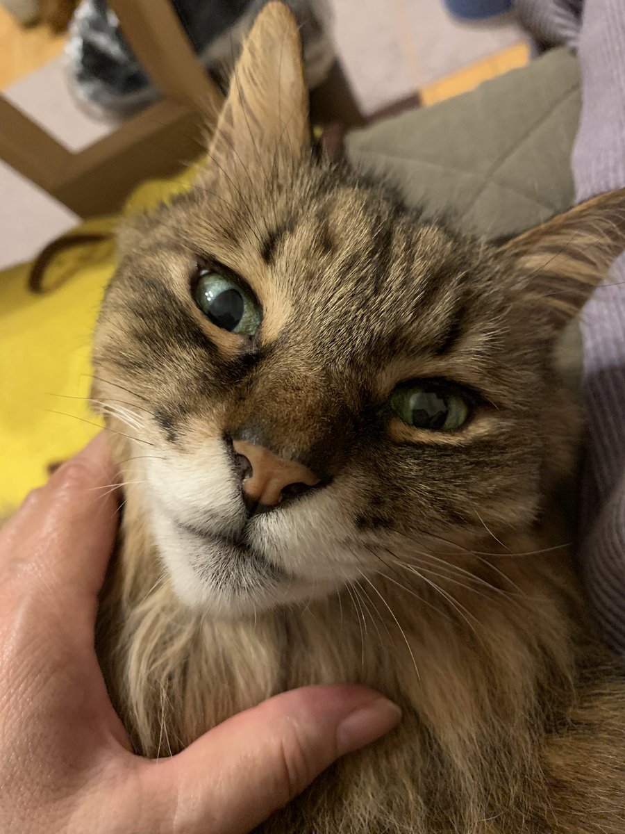 ⁡
⁡
本日、明日お休みでございニャス

⁡