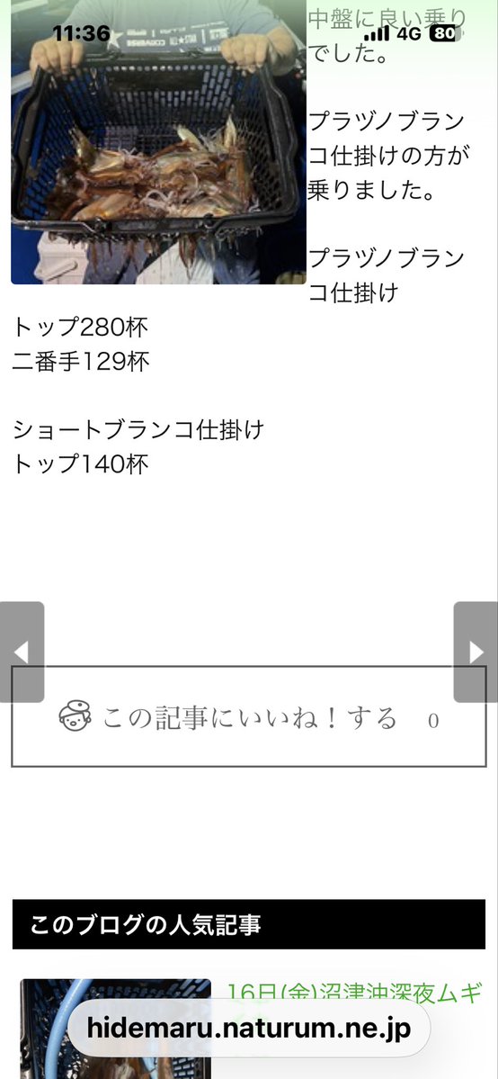 マッキー🦑 tweet media