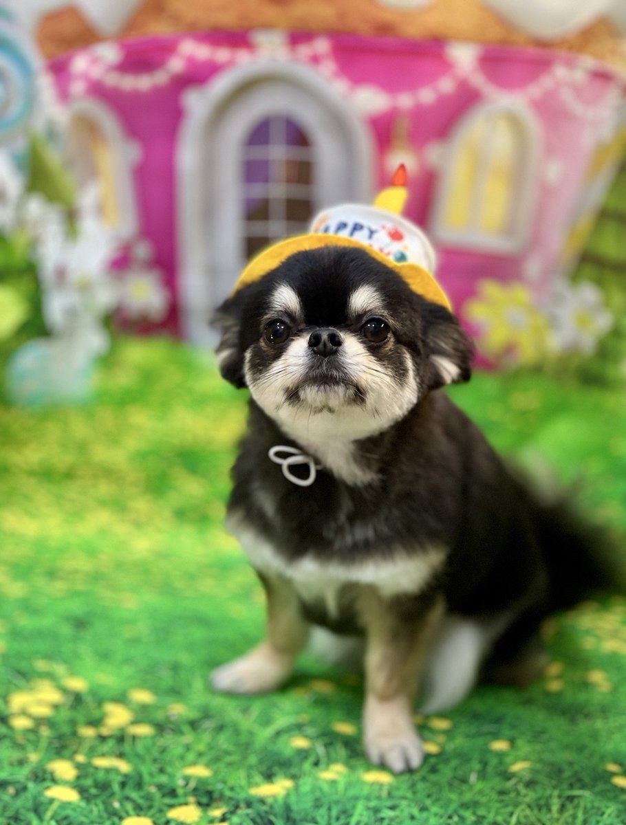 エムディー目黒店 tweet media