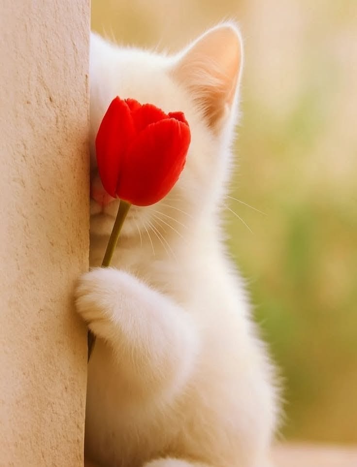 ชั้นชื่อRainzหรือเปล่านะ tweet media