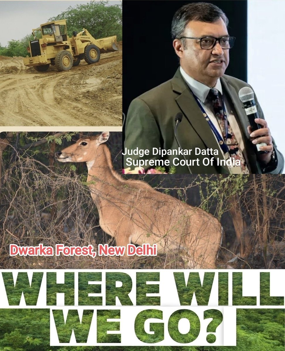 Ajay Joe tweet media