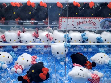 ハローキティ　いよてつ　伊予鉄道　高島屋　ぬいぐるみ ハローキティ」の誕生日を伊東でお祝い 列車ツアーでファン交流｜静岡
