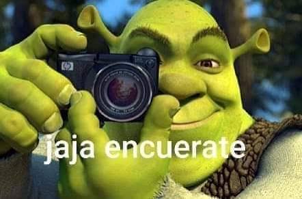 <a href="/luisher41379462/">fresquito ditto</a> Personas cuando hacen lo mismo pero con AF/UA: