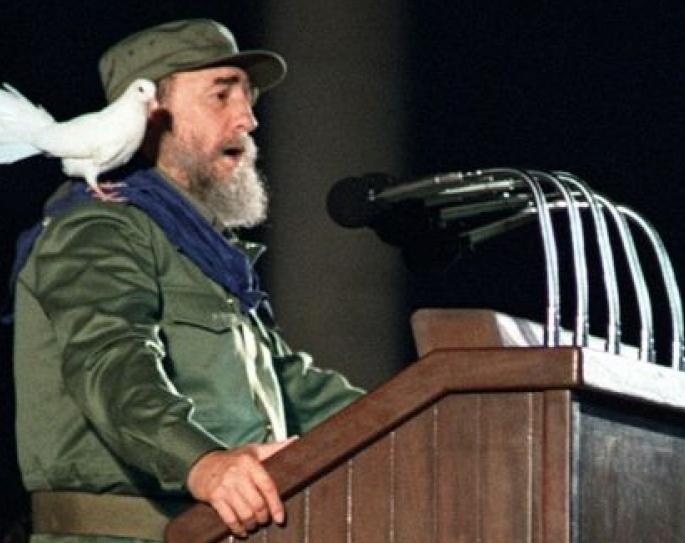 Alfredo Hernández tweet media