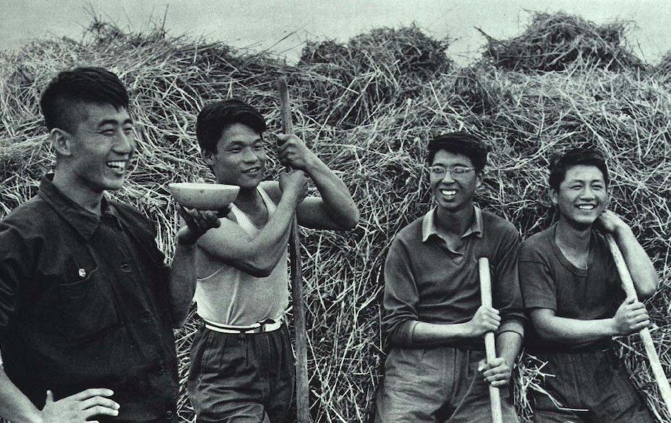 THE WEST VIRGINIA HOLLER tweet media