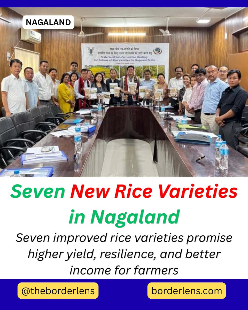 The Borderlens tweet media