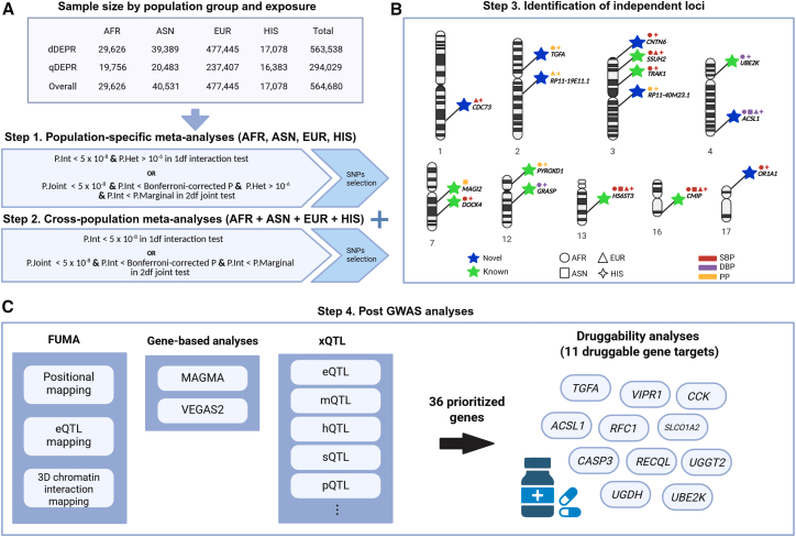 「気分の落ち込みが続いてる人、血圧も測ったことある？」

56万人のDNAを調べた大規模研究で、ちょっと見逃せない発見があったんだよね。

「気分が落ち込んでいる時だけ、血圧を上げるスイッチが入る遺伝子」が7つも新しく見つかったの。