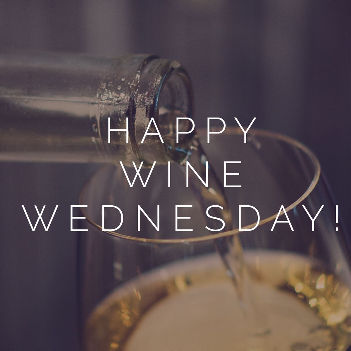 vjones84280022's tweet image. Good 🌇 Lil, et al. Hope everyone had a fantastic #WineWednesday. He’s an excellent mayor and adored
 by many. Yep, it’s wise to diet, summer is coming ☺️ 🏝️. Was out and about lovely day temps in the 50’s.
🍷 💛