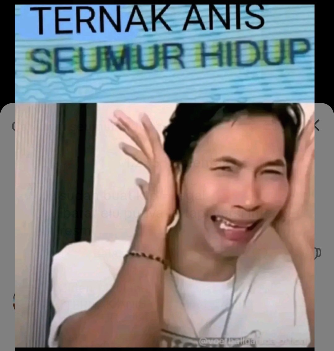 DmsAnjy16's tweet photo. @AbdulRachimmks Serang lah wahai ternak Anis Yaman🤪 https://t.co/LJAFRHrHSb