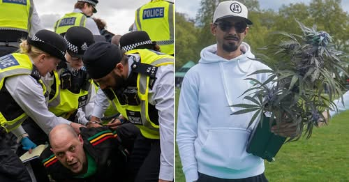 *•.¸.𝐻𝑒𝓂𝓅 𝐸𝒹𝒾𝒻𝒾𝒸𝒶𝓉𝒾🐨𝓃.¸.•*🇵🇸 tweet media