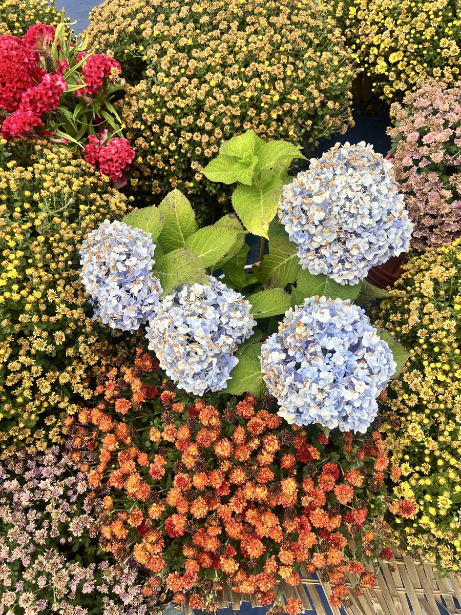 bin ☁️ tweet media