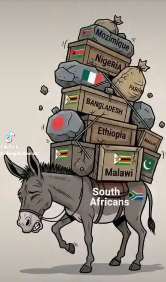 NicoleSussex 🇿🇦🌸 tweet media