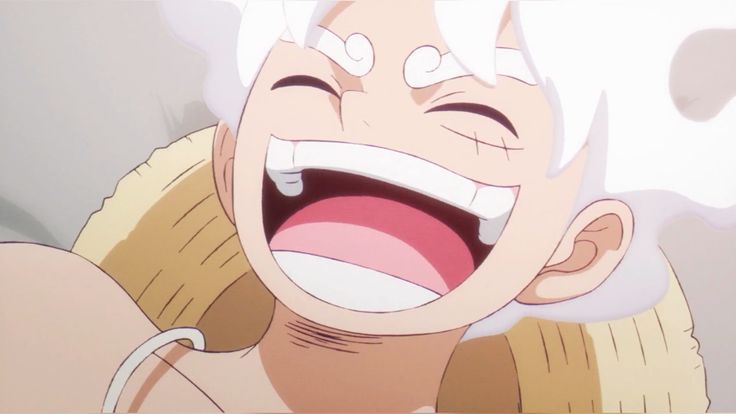 straw hat fuly tweet media