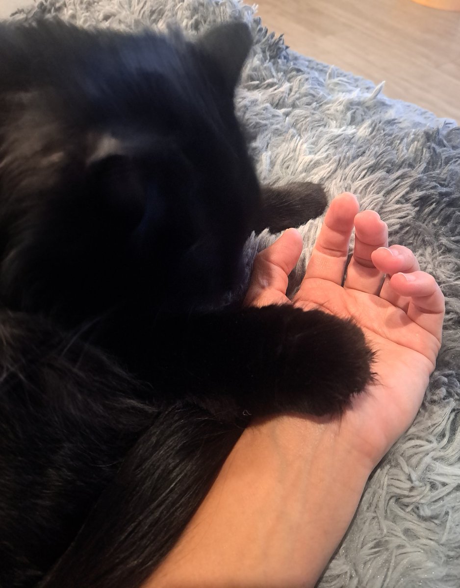 酸塊ﾅﾂﾒ tweet media