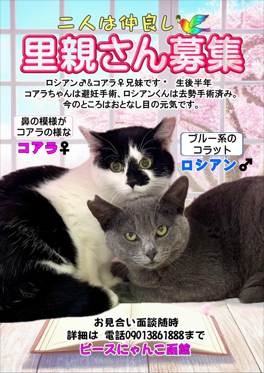 ★購入者決定★7月29日15時配達★　❤暑中見舞い申し上げます❤最終処分　一足早い毎年恒例☀サマーセール開催☀　無印良品❤ベッド&マットレス　購入後約1年　使用頻度少ない★極美品　配達可能です！ NEXT G-INFINITY #gavaninfinity #gozyuger #supersentai #tokufans