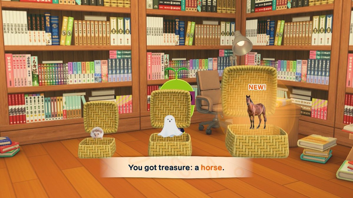 bONGO • LIVING THE DREAM 🏝️ tweet media