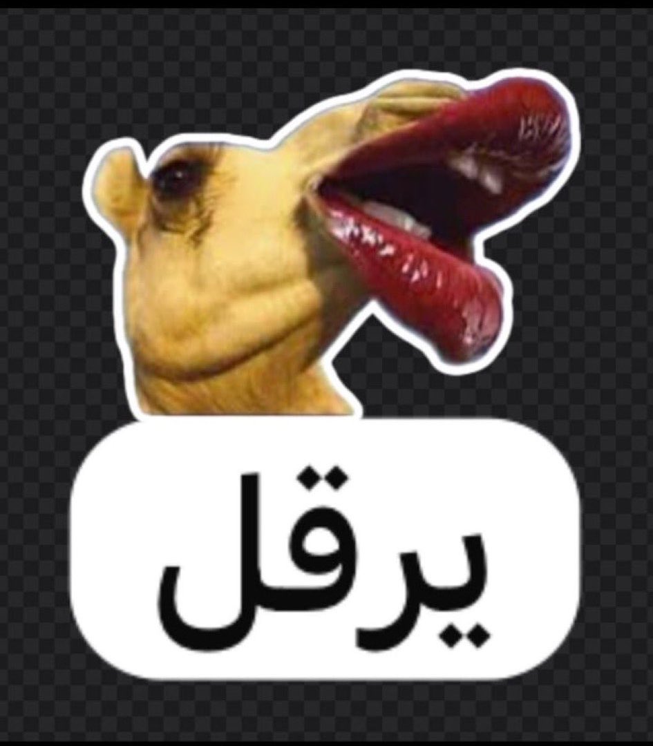 أحمد الشدادي ⚔︎ tweet media