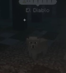 yoks🌐🔲⭕ت open comms tweet media