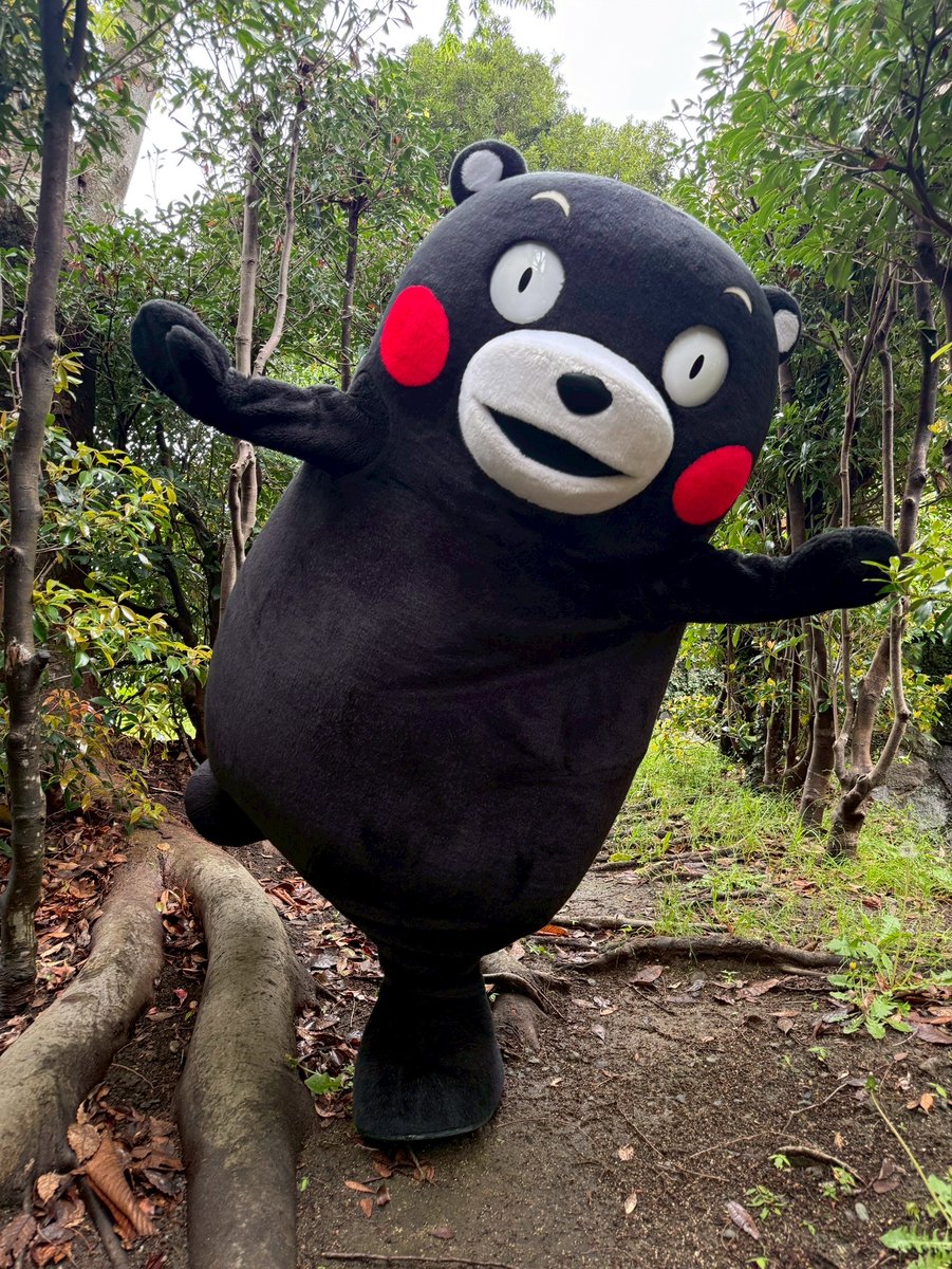 おはくま〜！今日は金曜日、あとひとがんばりかモン！