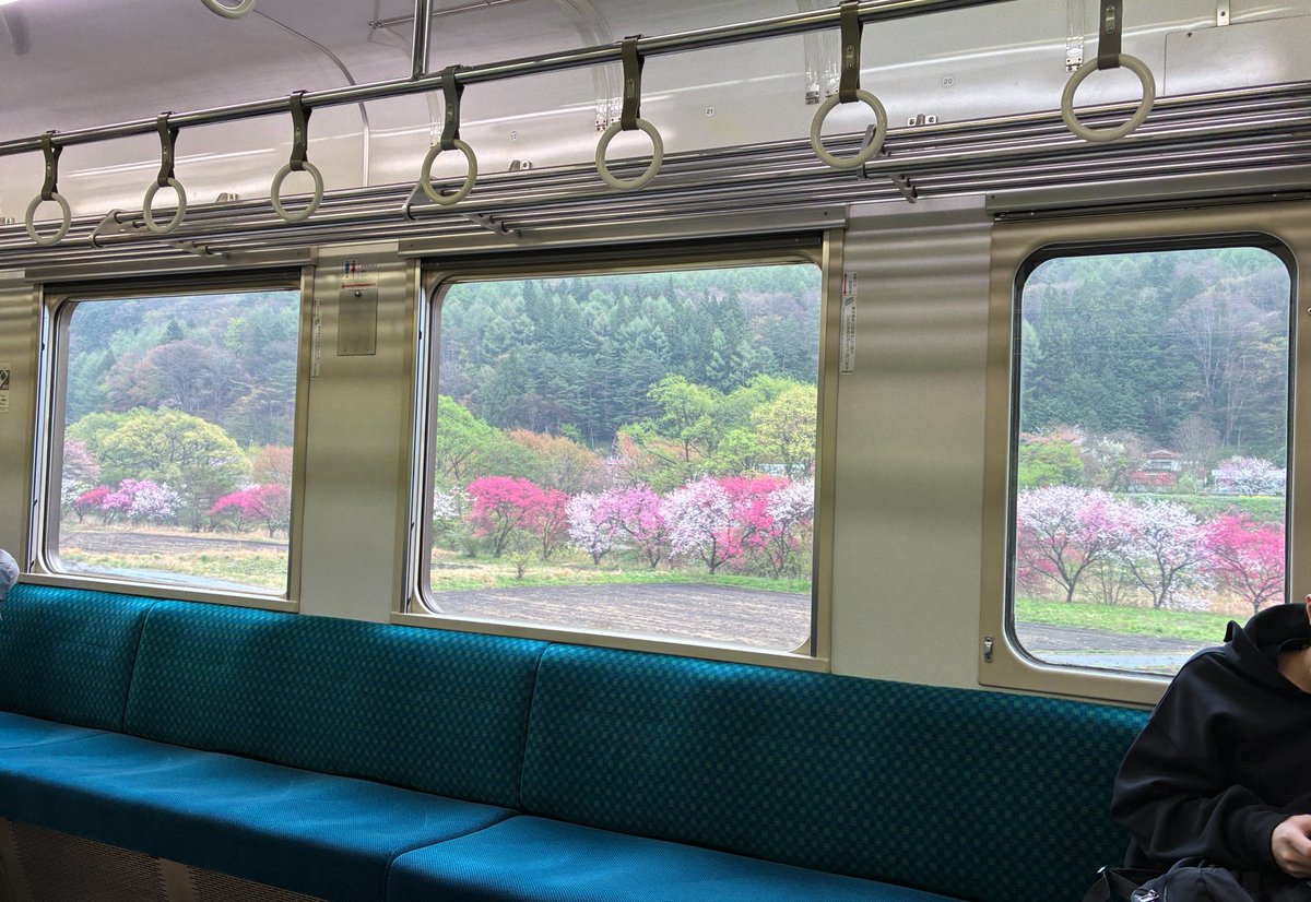 きゅりきゅり tweet media