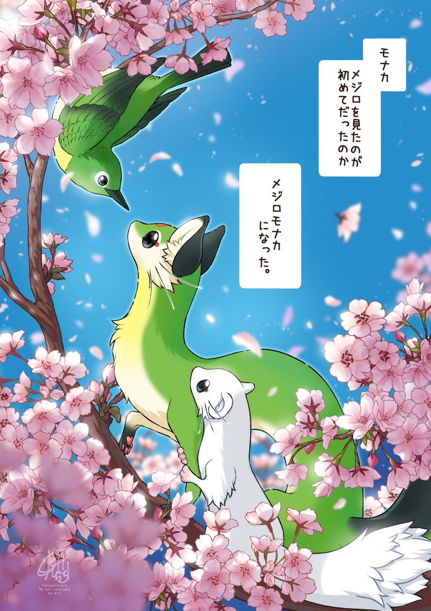 夜風さらら🦊管狐のモナカ✨発売中‼️ tweet media