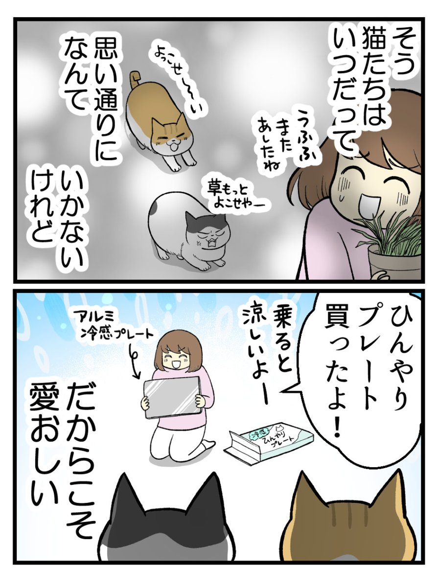 (2/2) 