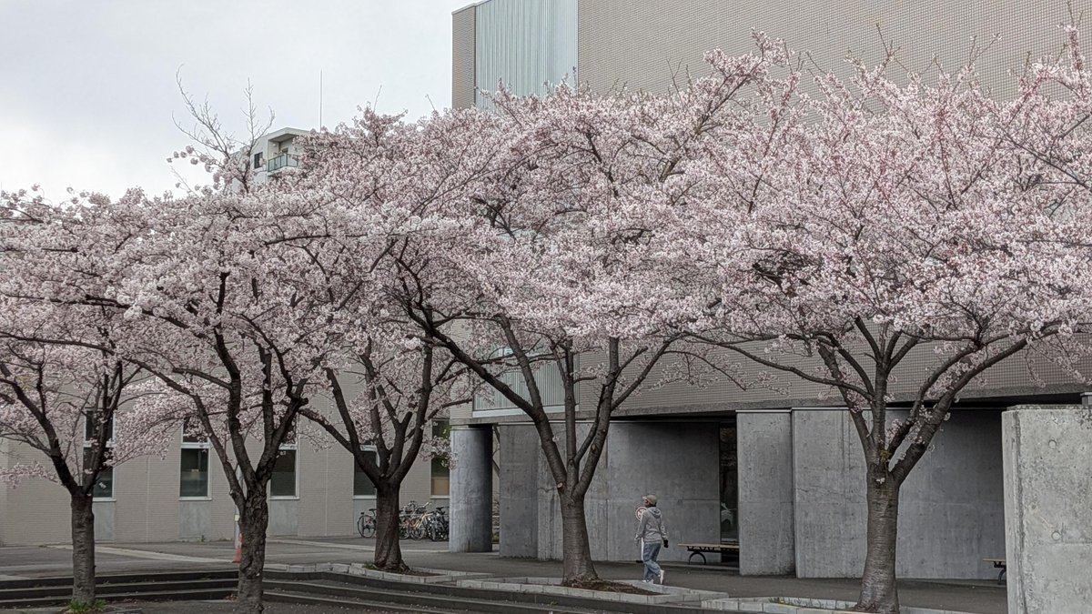 alphacox's tweet image. 「ジオスパーシャルフェア2026」札幌
本日は札幌で出展します。ぜひいらしてください！
会場でお待ちしています。
2026年4月23日（木）　13:00～17:00
札幌コンベンションセンター
 大ホール
sora-scc.jp/access/
#SketchUp #Twinmotion