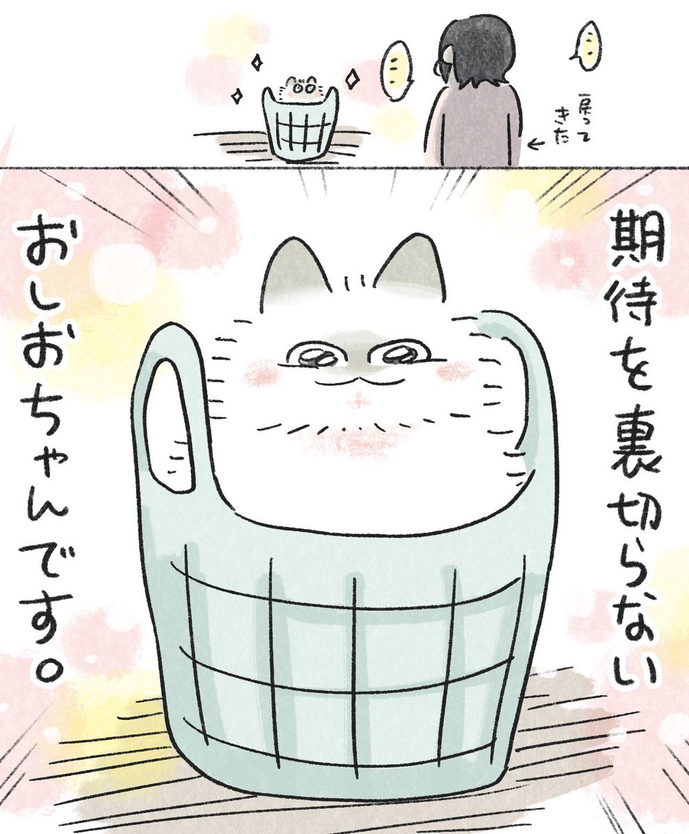 In.S_そーい tweet media