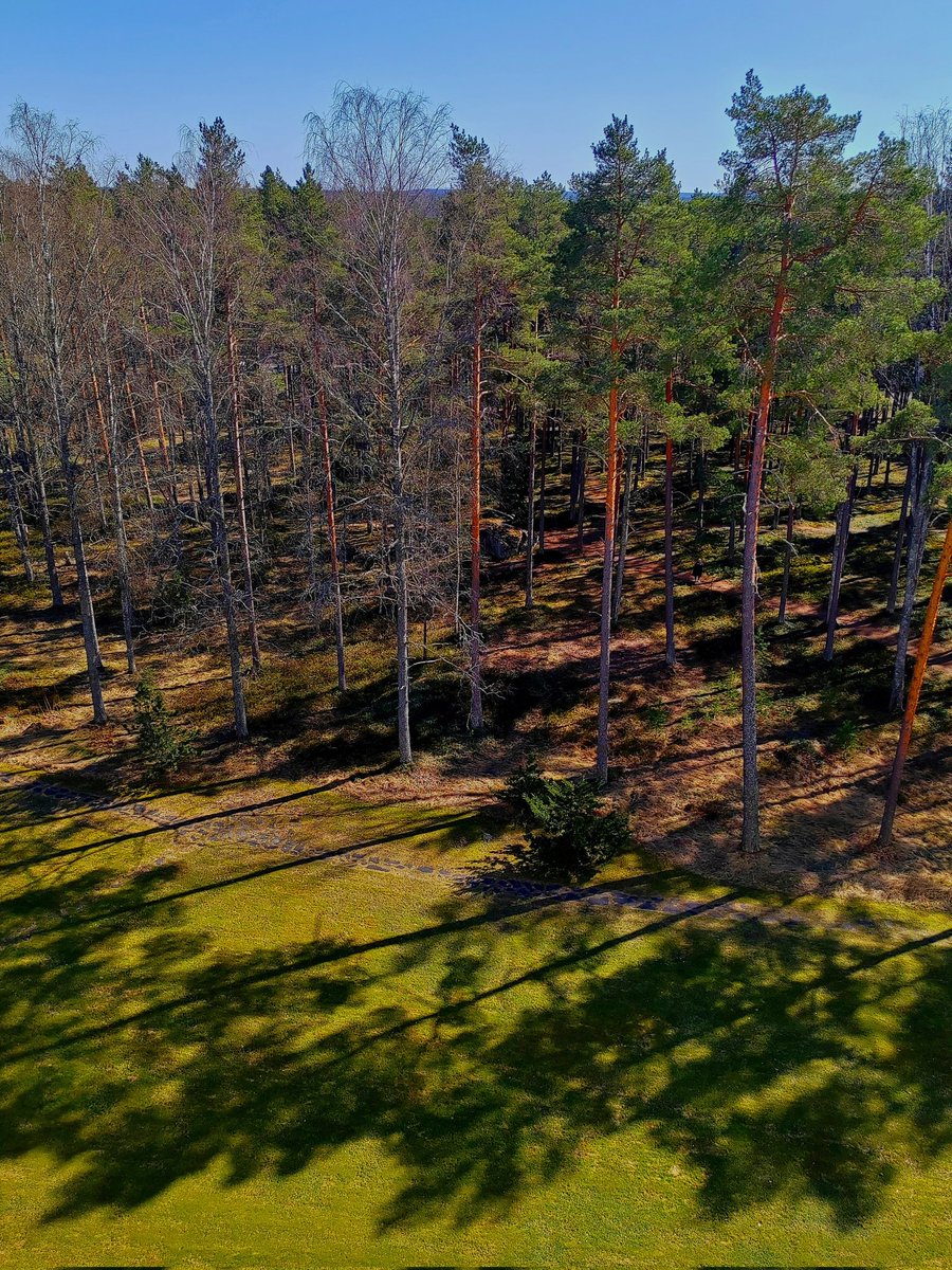ElseKruskopf's tweet image. Hyvää huomenta torstaita. Alvar ja Aino Aallon suunnittelema funktionalistinen mestariteos, joka toimi alun perin tuberkuloosisairaalanaHieno kokonaisuus mäntykaalla. Terassilla potilaat lepäili päivittäin. #Finland #Paimio #StandWithUkraine️ 💛💙🇺🇦