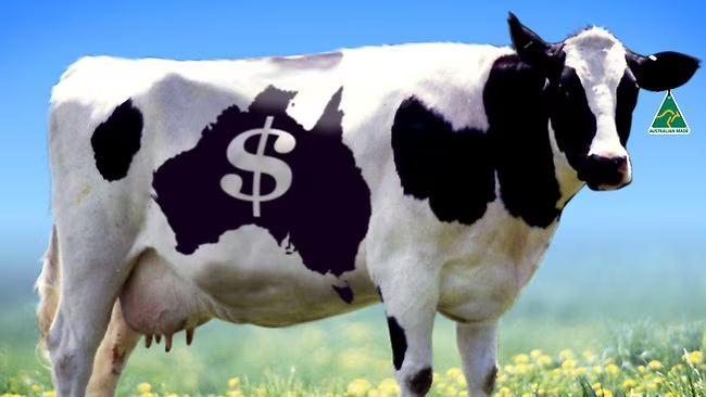 uncle dns tweet media